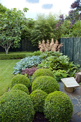 The square box and box balls give a formal atmosphere to this country garden