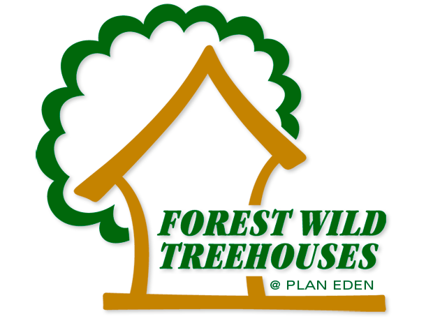 Bespoke treehouse design and build by Forest Wild Treehouses.