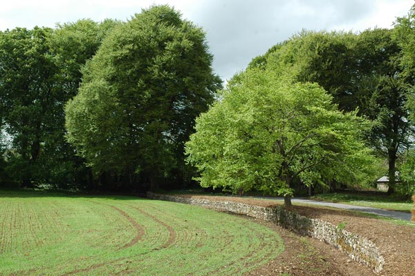 The Ha-Ha and landscape restoration and enhancement.