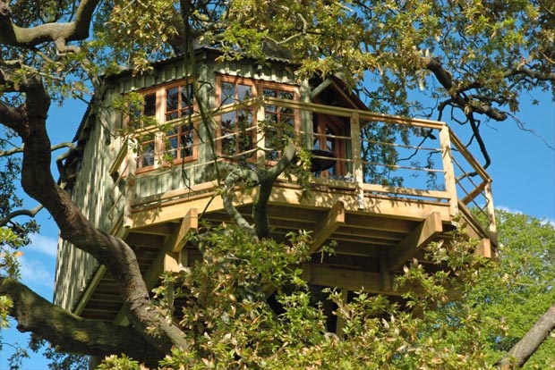 The bespoke treehouse nestled in mature oak