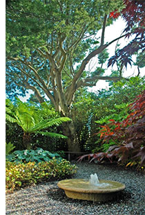 This garden room has a natural, informal feel, completed with a small secondary water feature.